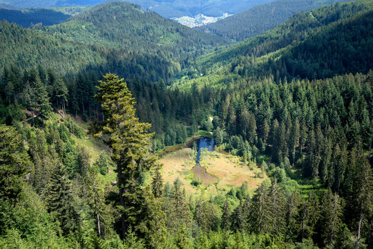 Blick auf den Ellbachsee von der Aussichtsplattform Ellbachseeblick bei Freudenstadt im Schwarzwald, Deutschland - im Hintergrund Baiersbronn Mitteltal