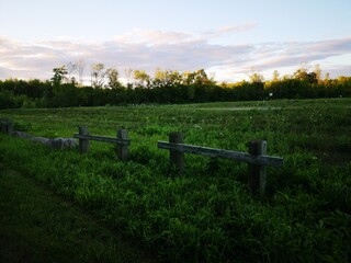 fence in the field