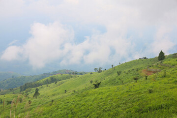 view of landscape is green grass on nature mountain in rainny season at thailand