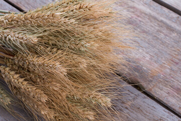 Bunch of wheat ears on white background. Sheaf of cereal ears on wood surface with copy space.