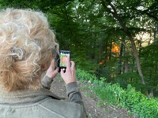 Frauenkopf von hinten fotografiert mit dem Handy Sonnenuntergang