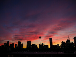 Obraz na płótnie Canvas Pink Sky in Sydney