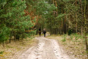 Jeźdźcy na koniach w lesie  