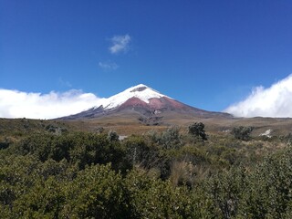 Fototapeta premium Cotopaxi Ecuador