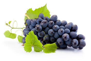 Fresh of blue grapes with leaves isolated on white background