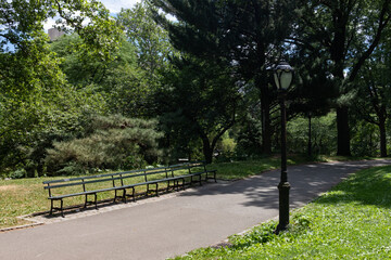 Empty Path with Green Grass and a Bench at Central Park during Summer in New York City