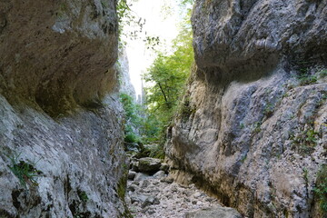 Valley with riverbed between high rocks and some trees