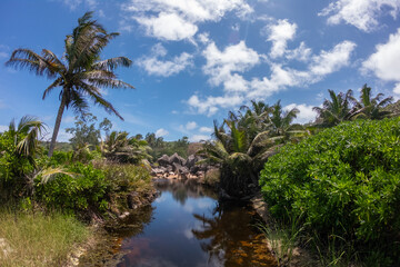 Fototapeta na wymiar Tropical panorama in La Digue, Seychelles 2019