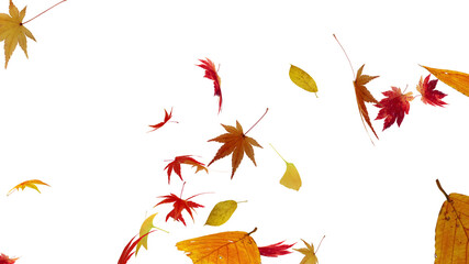 Autumn Flying leaves leaf 3D illustration background.