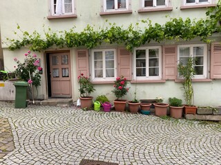 Charmantes altes Haus , rosa und grün mit Sprossfenster, Fensterläden- Blumenkübel mit Pflanzen...