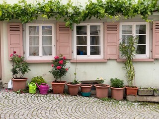 Fototapete bei efototapeten.de bestellen   