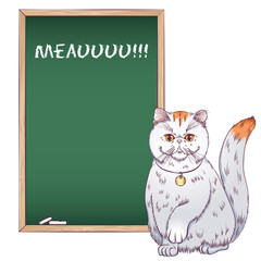 Exotic shorthair cat with raised front paw. Vector illustration with a cat near the chalk board. Hand drawn style isolated on white background. Place for text.