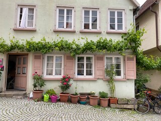 Charmantes altes Haus , rosa und grün mit Sprossfenster, Fensterläden- Blumenkübel mit Pflanzen vor dem Haus und Weinrebe über Fenster