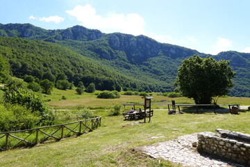 Green valley with people doing a picnic