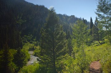 Mountain Landscape with Creek