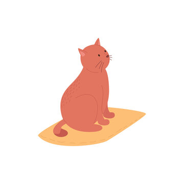 Simple red cat sitting on yellow pillow. Cute domestic animal in flat style. Vector illustration isolated on white background.
