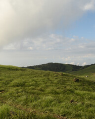 Dainthlen Falls And A Large Green Valley On The Mountain of Sohra or Cherrapunji In Meghalaya In...