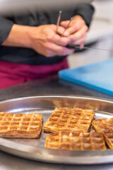 sandwich gastronomique