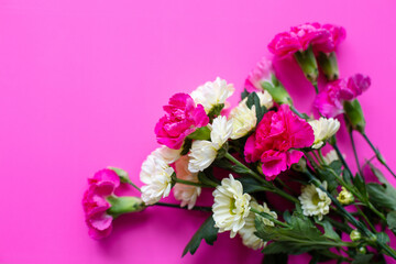 Pink and white flowers on pink background