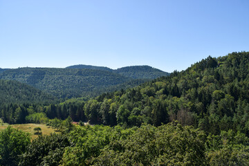 Fototapeta na wymiar Pfälzer Wald von Burg Berwartstein