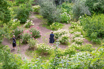Fototapeta premium Relaxing walk in the summer city park among the greenery on a sunny day