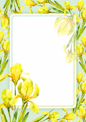 Yellow flowers, irises, watercolor illustration, summer flowers, vintage. Leaves, greens, flower. Blank for wedding, holiday, celebrations.