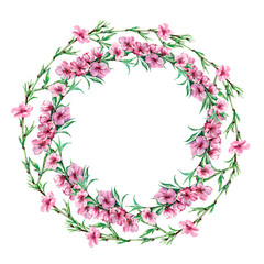 Watercolor branch flowers peach on white background. Floral illustration.