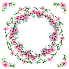 Watercolor  flowers peach on white background. Garland illustration.