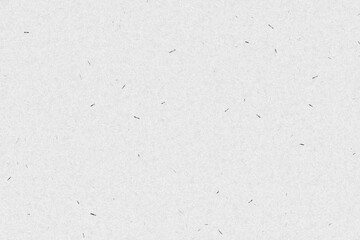 Obraz premium White Paper shown details of paper texture background. Use for background of any content.