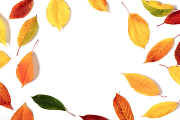 Autumn creative composition. Colorful leaves on white background. Fall leaves. Autumn background....