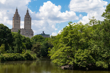 Central Park Lake with Green Trees during Summer with a view of the Upper West Side in New York City