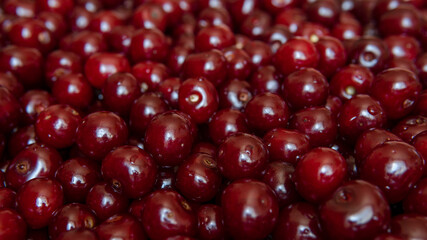 Ripe red juicy cherries. Fresh organic berries background. Vegetarian concept. Healthy food with vitamines.