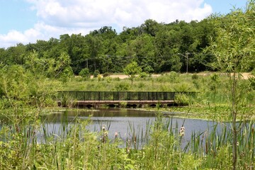 A view of the lake over the tall grass on the shore.