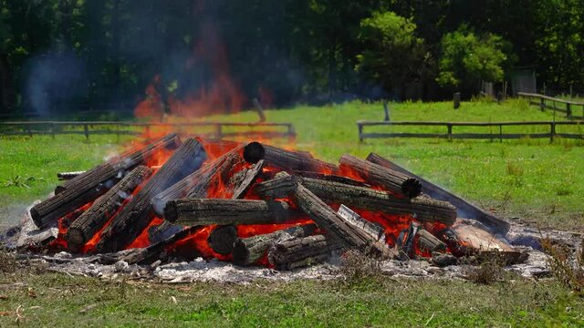 Lagerfeuer mit Flammen und Rauch tags&uuml;ber im Sonnenschein auf einer Wiese im Sommer