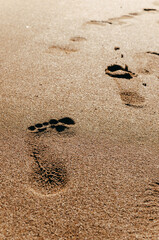 Fototapeta na wymiar Texture. Background. Footprints on beach sand 