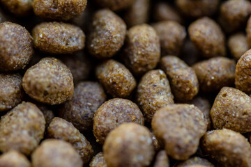coffee beans background