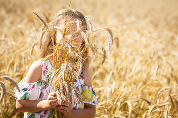 A small girl walks in a wheat field. The mood of pacification, calmness and relaxation from the...