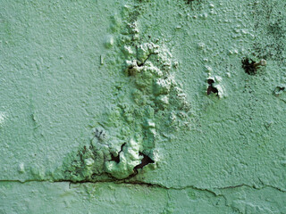 Old faded green concrete wall. . Moldy surface.Crumbling plaster and paint. Fungus. Mold.
