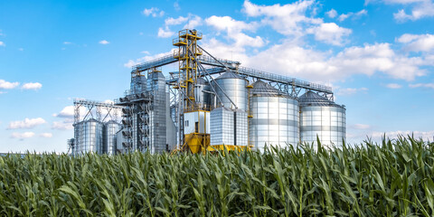 Modern Granary elevator. Silver silos on agro-processing and manufacturing plant for processing drying cleaning and storage of agricultural products, flour, cereals and grain. - obrazy, fototapety, plakaty