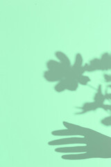Minimal aesthetic still life monochrome design. Aqua menthe trends. Flowers shadow and hand. Bio organic life concept