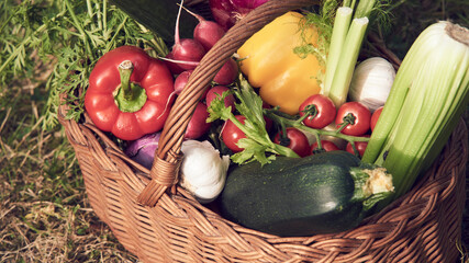 Wicker basket with fresh natural vegetables on a background of green lawn. Selective focus