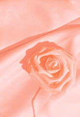 Minimal monochrome pink aesthetic. Silk fabric and roses. Background texture concept