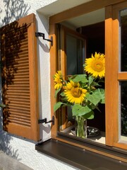 Wooden bench in front of window with shutters decorated with a bunch of sunflowers in a vintage Bavarian farm house