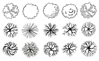 Set of tree top view for landscape plan and architecture layout  © Chanya_B