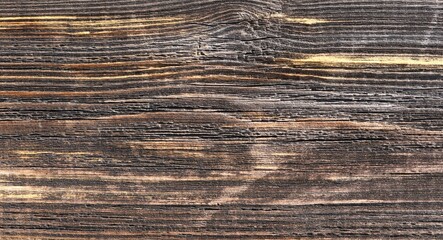 dark woody background in shades of brown and yellow with the texture of dry wood cracks and the relief of the horizontal lines of the structure