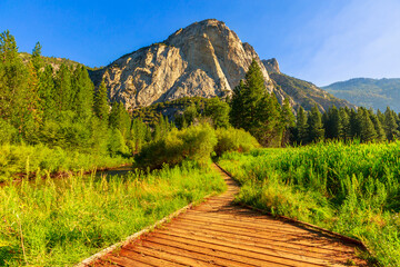 Panorama of Zumwalt Meadows hiking in Kings Canyon National Park, a large grassland in the forest with wildflowers with the surrounding towering cliffs of Kings Canyon.