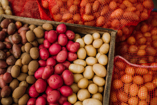 variety of potates boxed