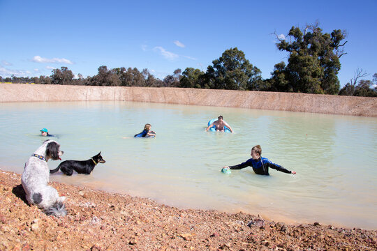 Kids And Dogs Playing In Farm Dam