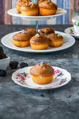 Freshly  baked blackberry and almond friands
