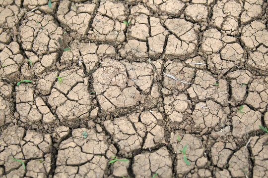 Closeup of cracked mud
